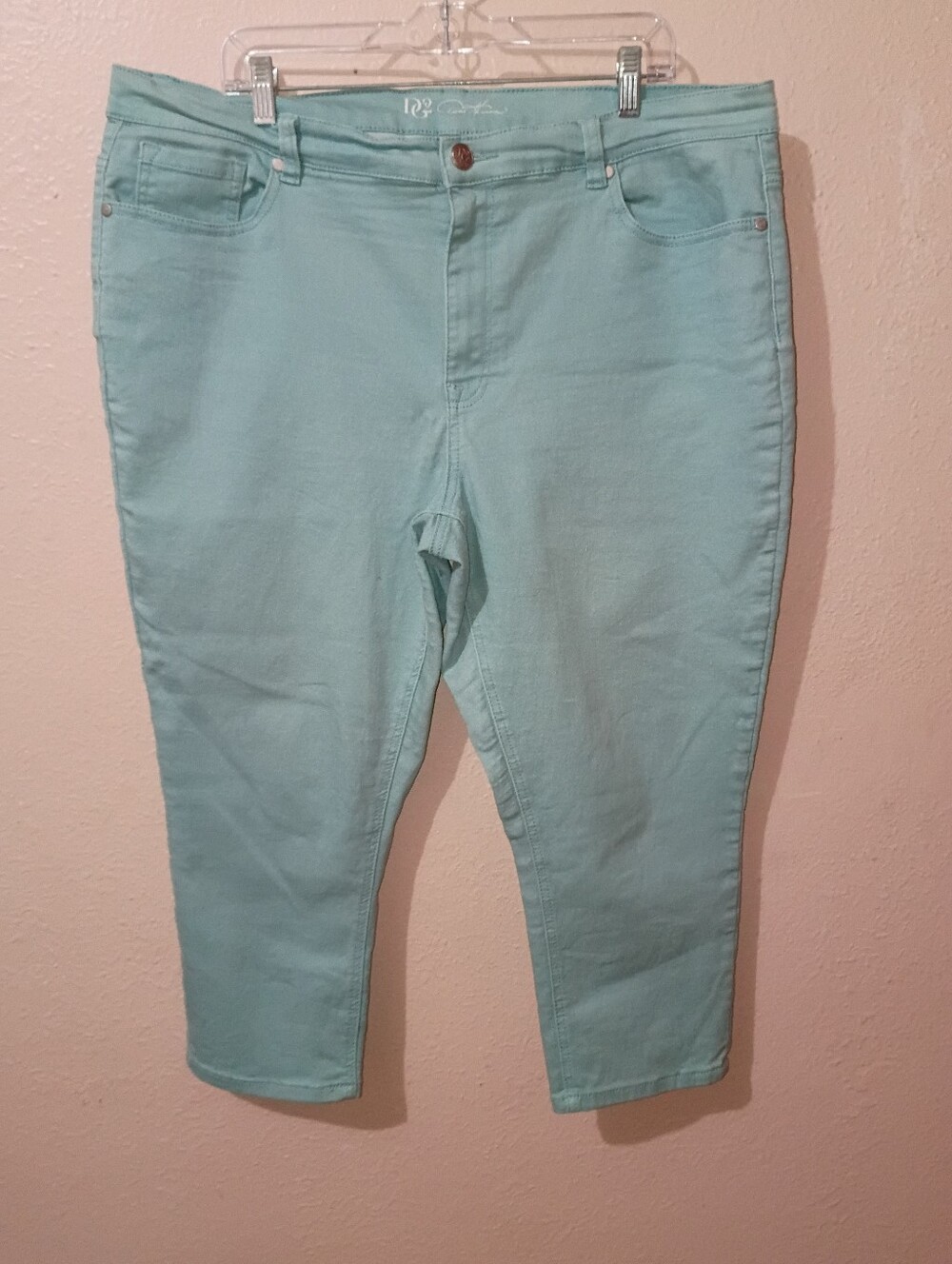 DG2 Diane Gilman Size 20W Light Teal Capris